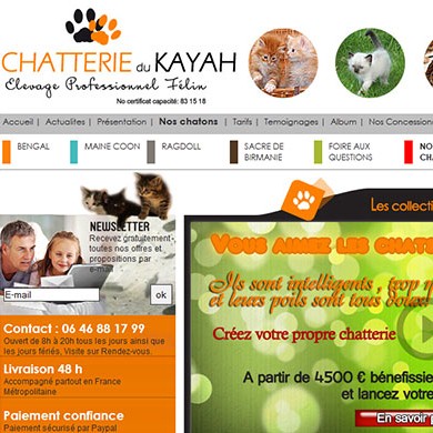 developpeur indépendant