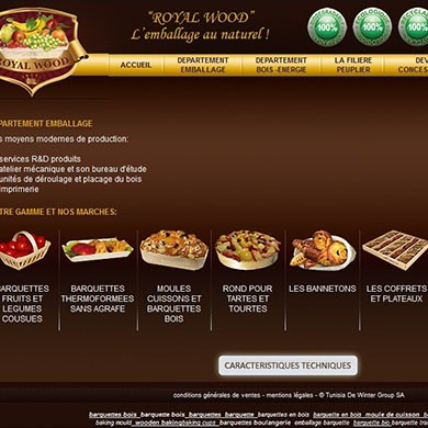 Webdesigner freelance